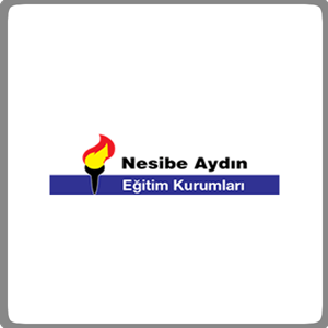 Nesibe Aydın Sanat Akademisi